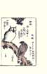 photo23_small.jpg