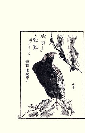 photo24.jpg