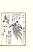photo25_small.jpg