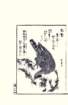 photo28_small.jpg