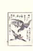 photo30_small.jpg