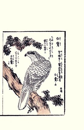 photo31.jpg