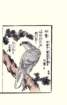 photo31_small.jpg