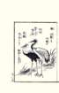 photo34_small.jpg