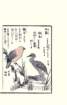photo35_small.jpg