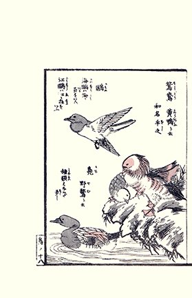 photo36.jpg