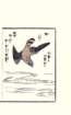 photo37_small.jpg