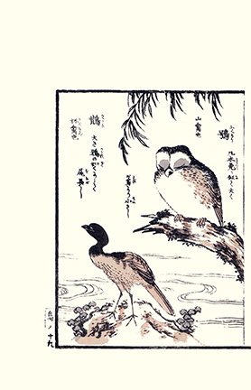 photo38.jpg