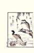 photo38_small.jpg