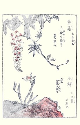 photo46.jpg