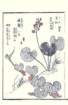 photo55_small.jpg