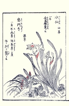 photo57.jpg