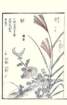 photo59_small.jpg