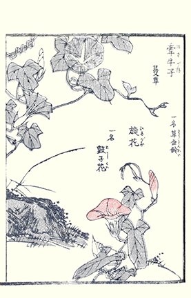 photo60.jpg