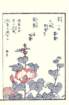 photo62_small.jpg