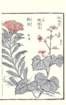 photo64_small.jpg