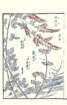 photo65_small.jpg
