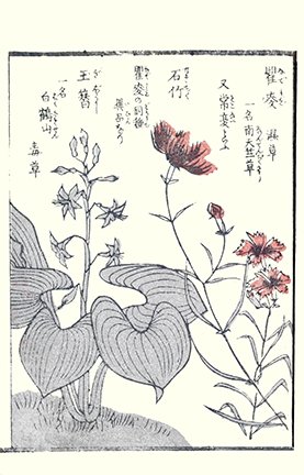photo66.jpg