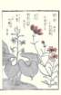 photo66_small.jpg