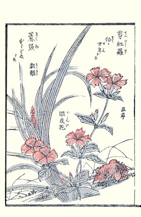 photo67.jpg