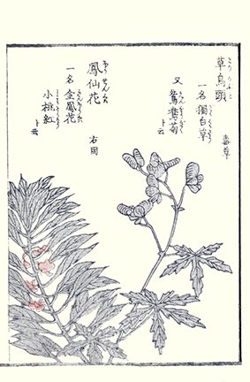 photo70.jpg