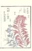 photo72_small.jpg