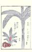 photo74_small.jpg