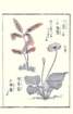 photo75_small.jpg
