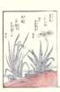 photo78_small.jpg
