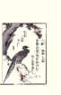 photo7_small.jpg