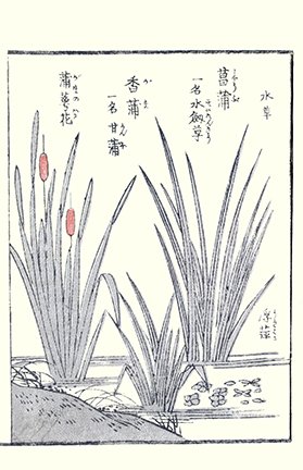 photo81.jpg