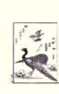 photo8_small.jpg