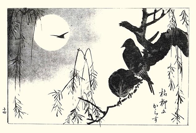 photo13.jpg