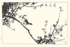 photo2_small.jpg