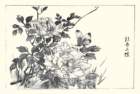 photo4_small.jpg