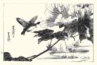 photo9_small.jpg