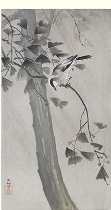 photo.jpg