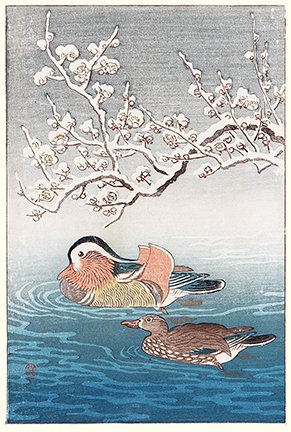 photo13.jpg