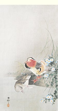 photo14.jpg