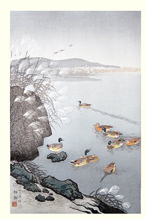 photo16.jpg