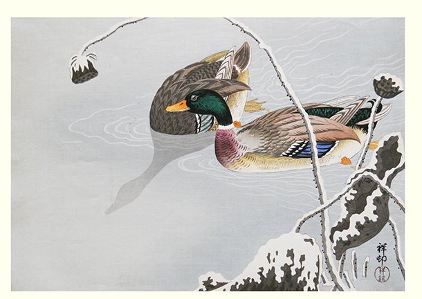 photo18.jpg
