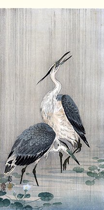 photo20.jpg