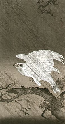 photo201.jpg