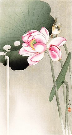 photo32.jpg