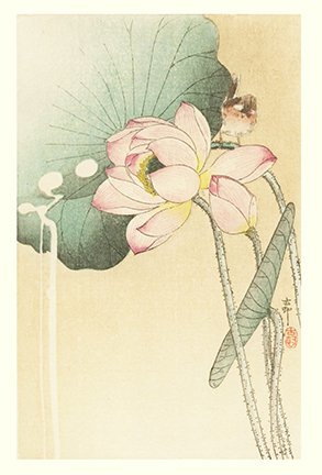 photo33.jpg