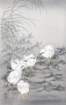photo387_small.jpg