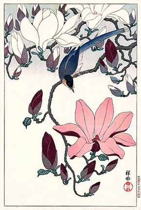 photo40.jpg