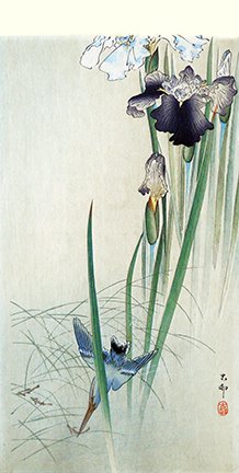 photo5.jpg