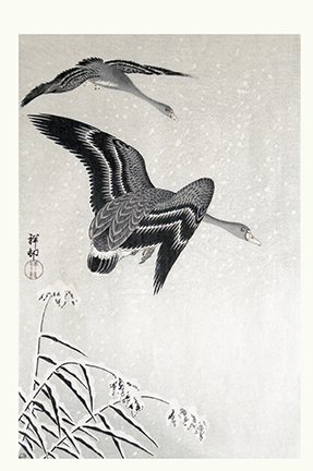 photo9.jpg