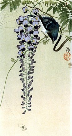 photo91.jpg